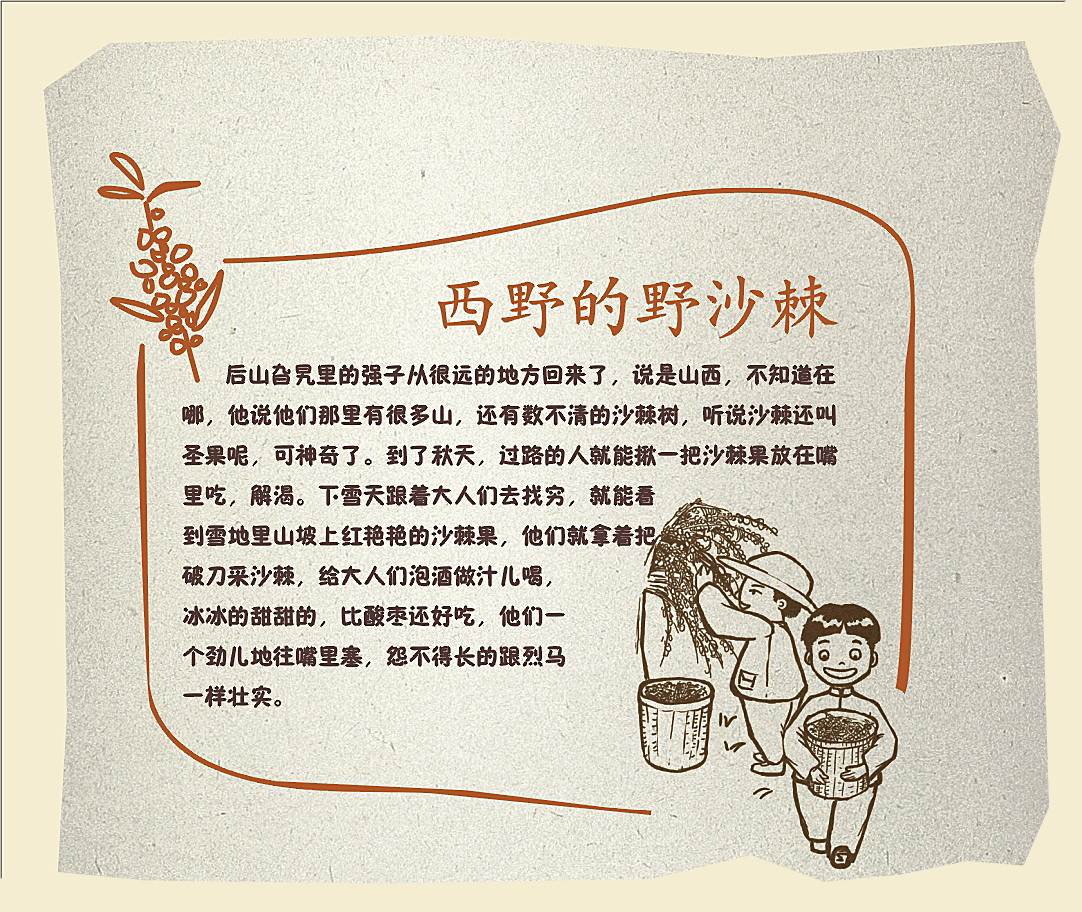 图片7